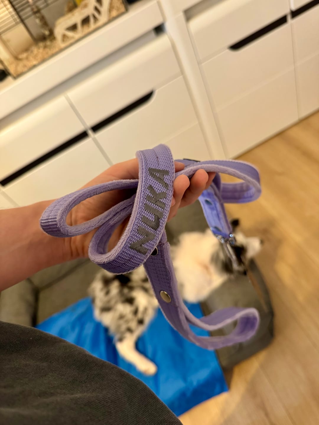 Customer photo review of Smycz dla psa z imieniem - Personal Leash