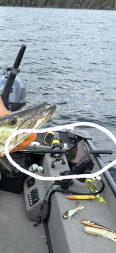 Customer photo review of Musky Telescopic Pre-Built Rod