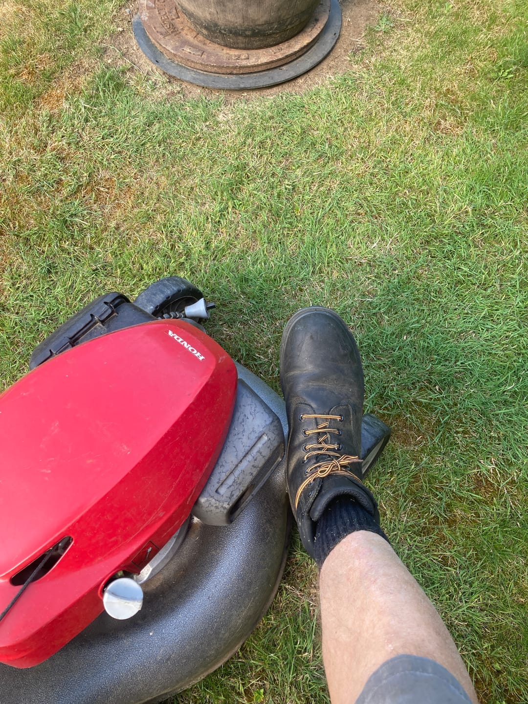 Customer photo review of Timberland Pro Iconic Safety Toe Work Boot