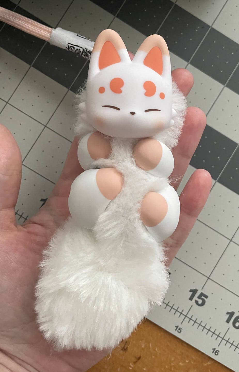 Customer photo review of Fabulous Beasts Palm Have Spirit Series Plush Blind Box