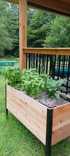 Customer photo review of 18" x 48" Raised Garden Bed - 30" TALL