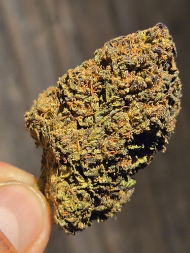 Customer photo review of Cheap THCA Flower Half Pound