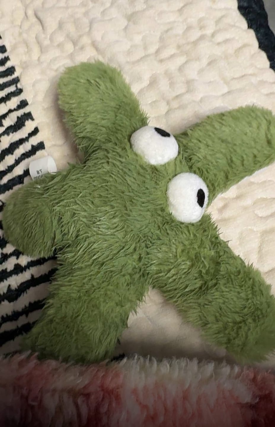 Customer photo review of Ocean Snuffle & Squeaky Plush Enrichment Toy – Available as Single or Set