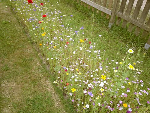 Customer photo review of NUVINT - Digitalkamera