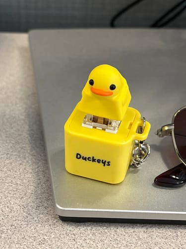 Customer photo review of Quackey - Fidget Toy that Quacks!