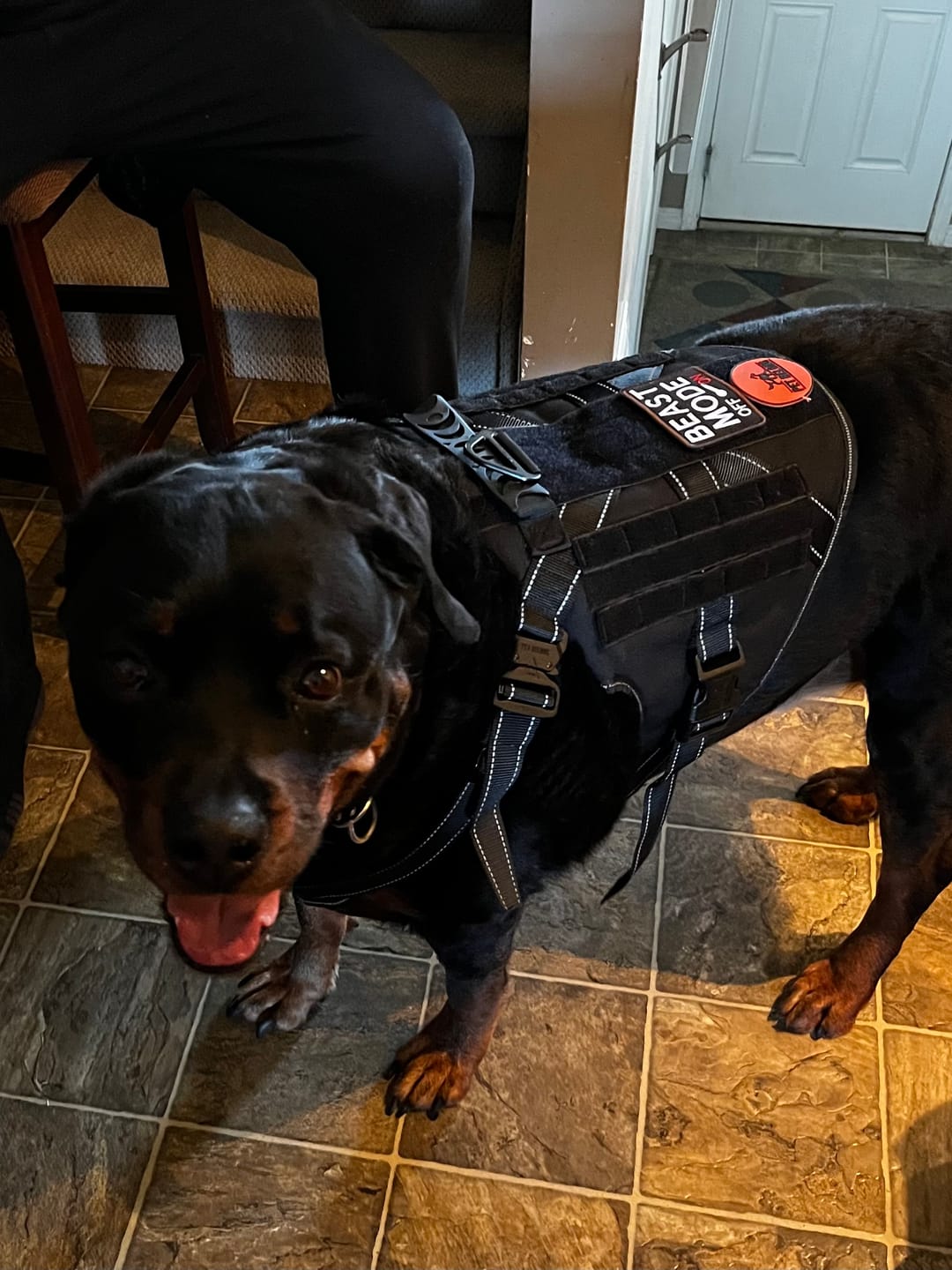 Customer photo review of Tactical Flag Patches