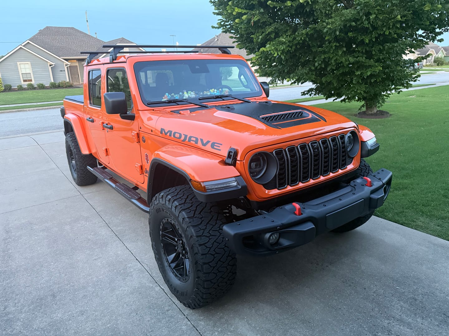 Customer photo review of Hood Graphic for Gladiator MOJAVE