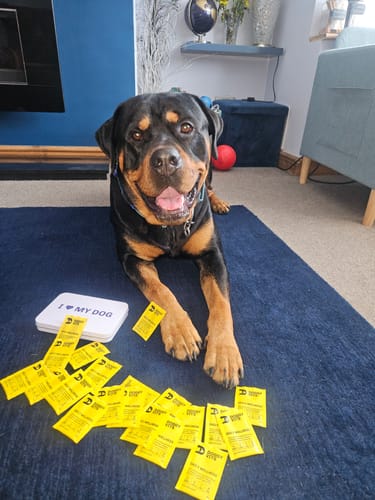 Pancake with his Doggy Vits sachets