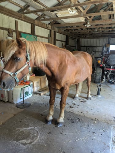 Customer photo review of Osteo-MAX » up to 29% Off