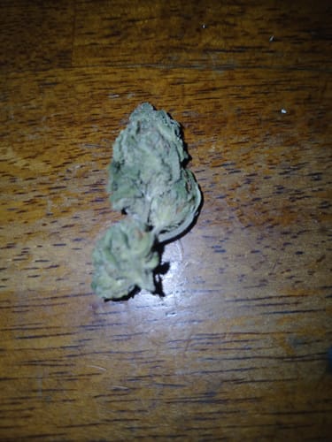 Customer photo review of Blue Dream - 14 Grams - Minis (Sativa)