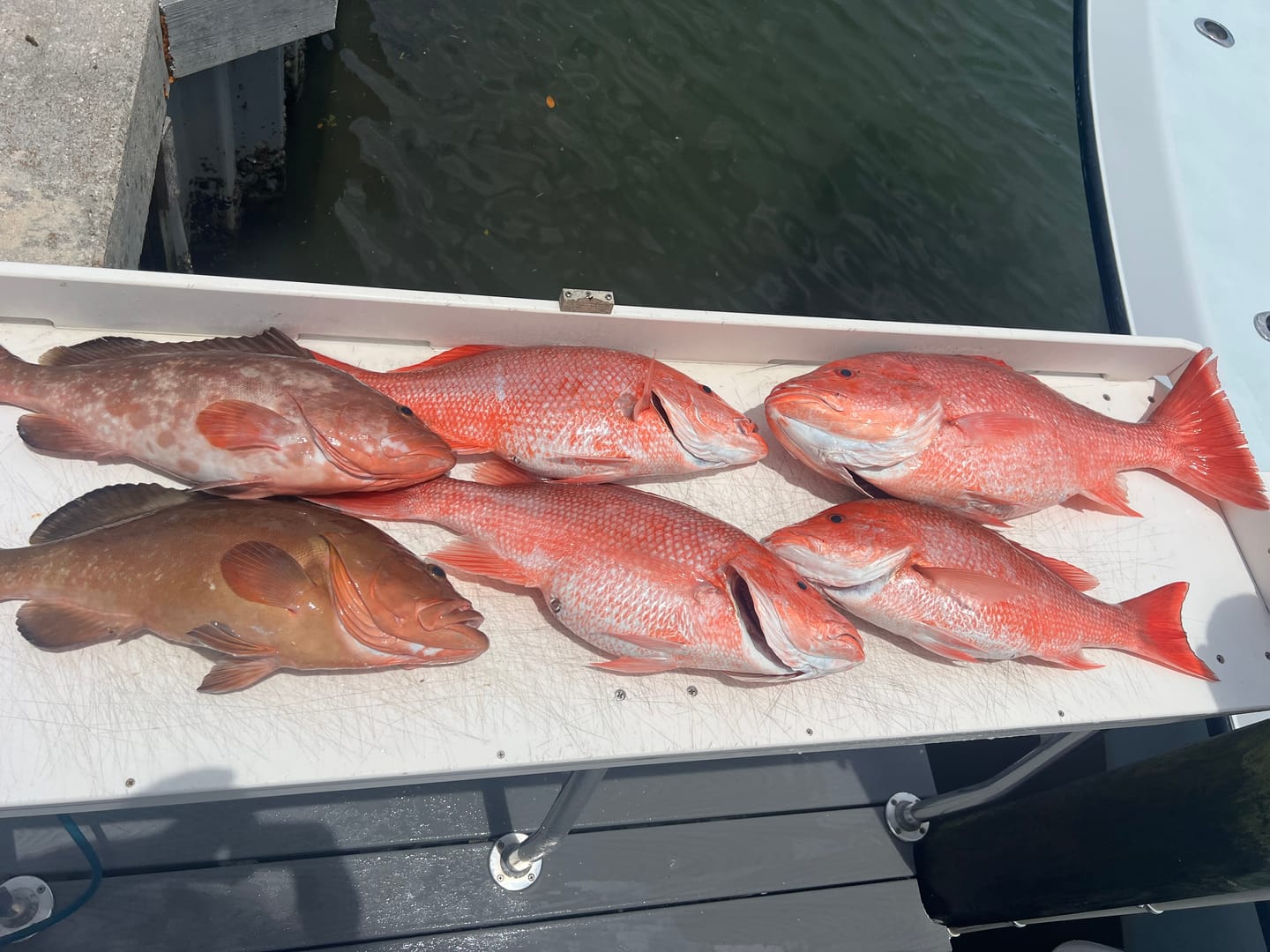 Customer photo review of RGF Pro Series Fluorocarbon Bait Rig