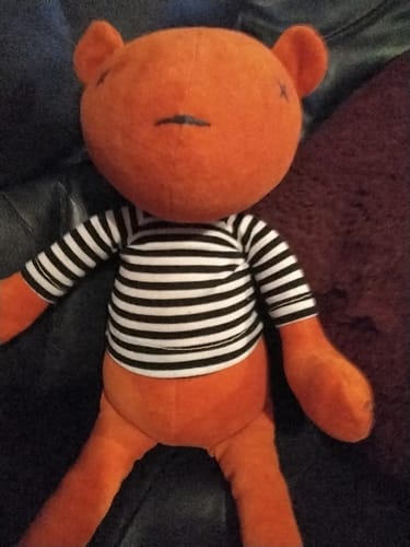 Customer photo review of JERMAINE, L’OURSON - GRAND