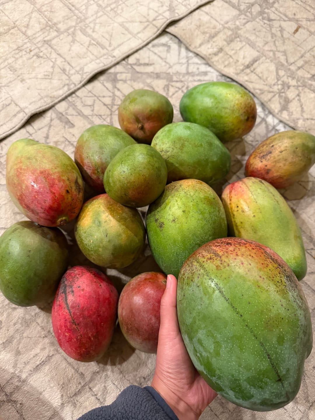 Customer photo review of Mango Mix Box