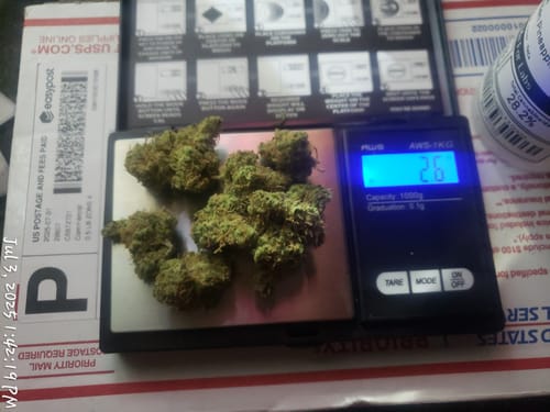 Customer photo review of Golden Pineapple