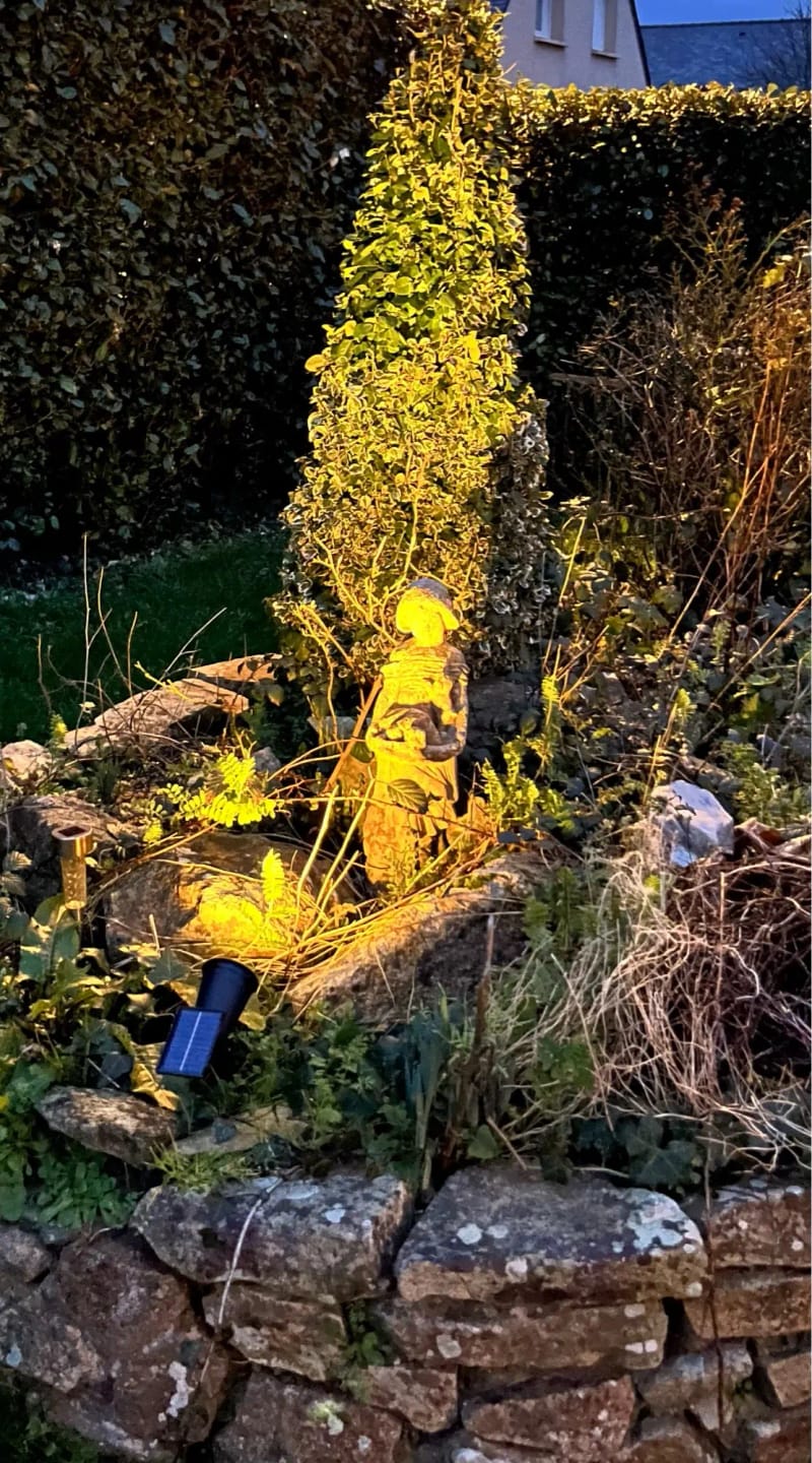 Customer photo review of 9 LED Solar Spot Lights