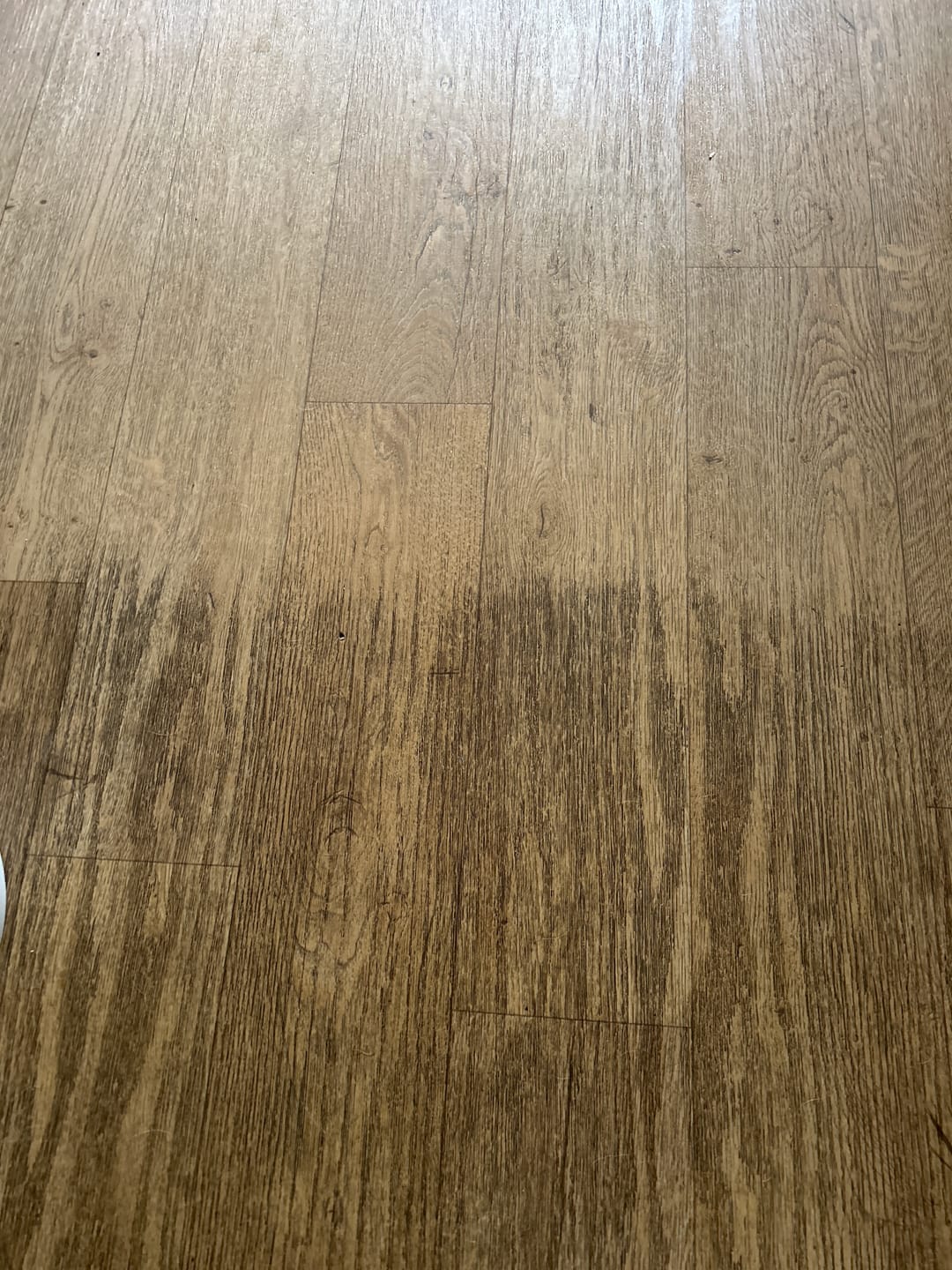 Customer photo review of Magic Floor Scrubbing Brush