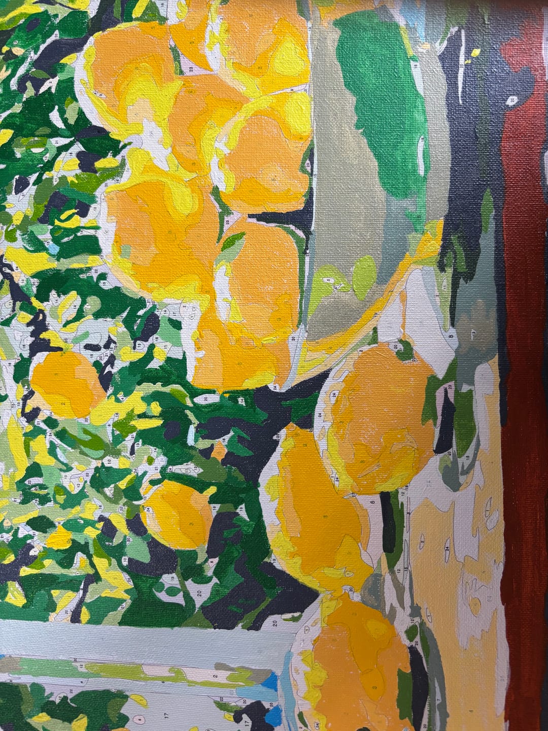 Customer photo review of Lemon Foliage