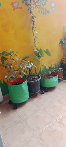 Customer photo review of United Crafts Aory High-Quality Wheel Metal Stands