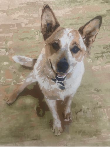 Customer photo review of Custom Paint by Numbers Kit
