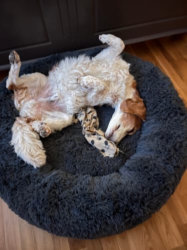 Customer photo review of CalmBed - Motverkar stress & hjälper mot ångest