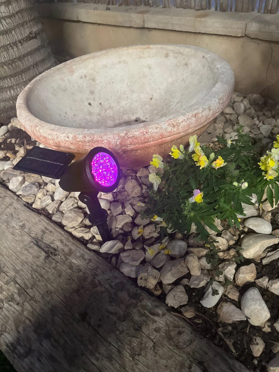 Customer photo review of 9 LED Solar Spot Lights
