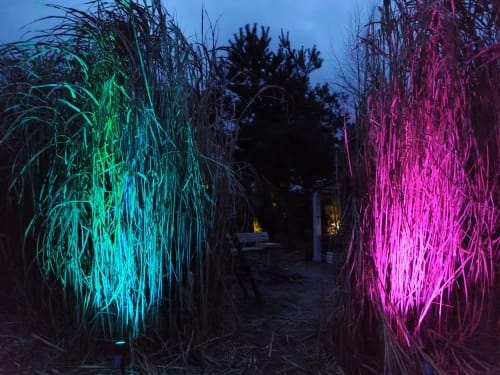 Customer photo review of 9 LED Solar Spot Lights