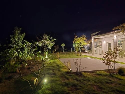 Customer photo review of 9 LED Solar Spot Lights