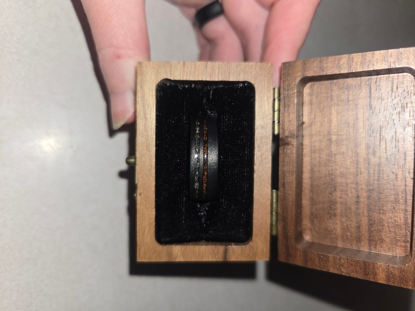 Customer photo review of The Meteorsaur