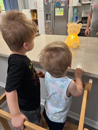 Customer photo review of Belleek Living Teddy Bear Luminaire (US Fitting)