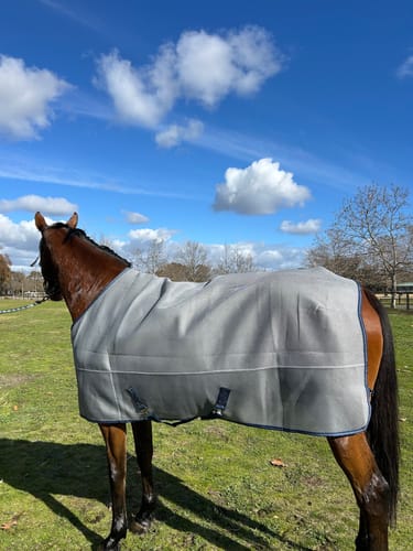 Customer photo review of LE 3D Air Cooler Rug with Fieldsafe Front