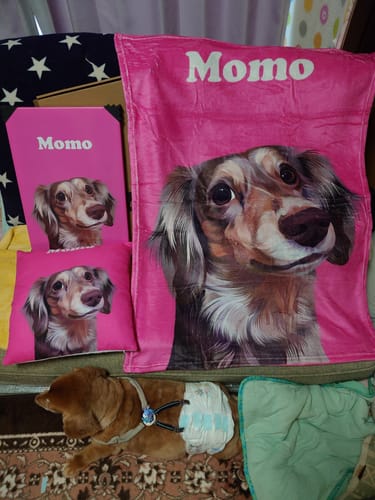 Customer photo review of Petcanva©オーダーメイド ペット似顔絵