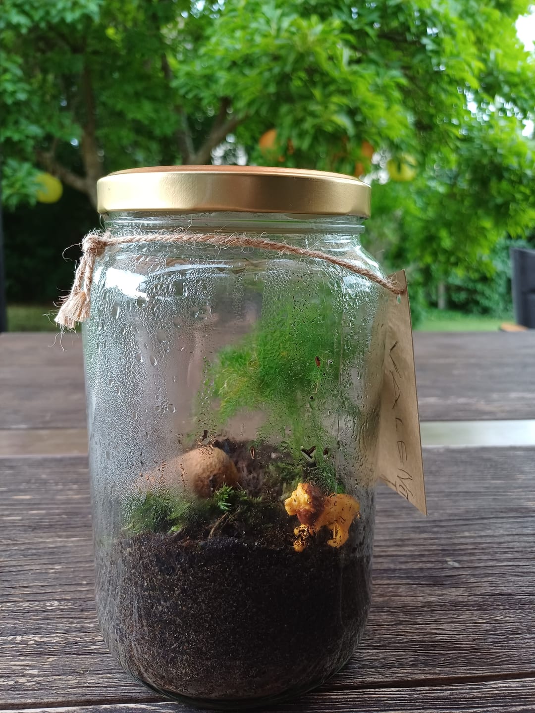 Customer photo review of Lieferung zum Wunschtermin