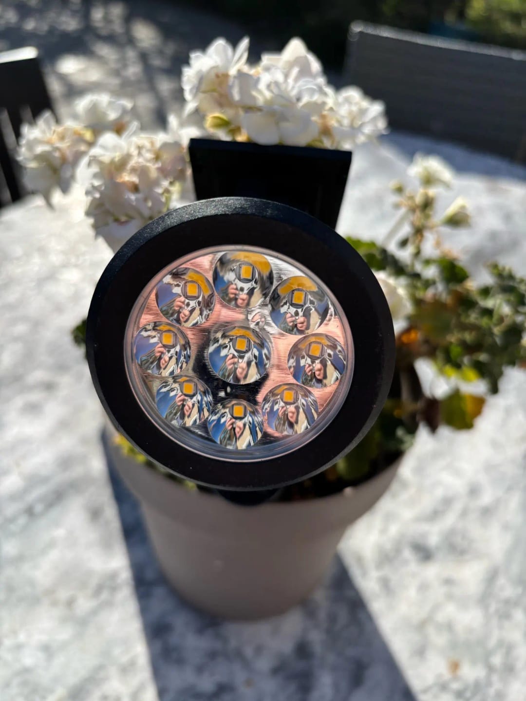 Customer photo review of 9 LED Solar Spot Lights
