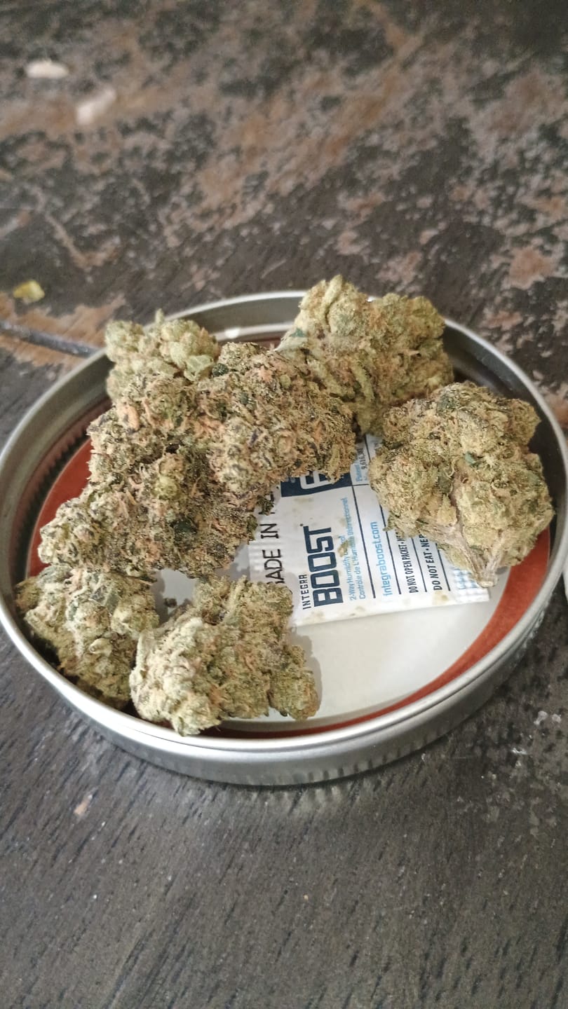 Customer photo review of Hindu Kush