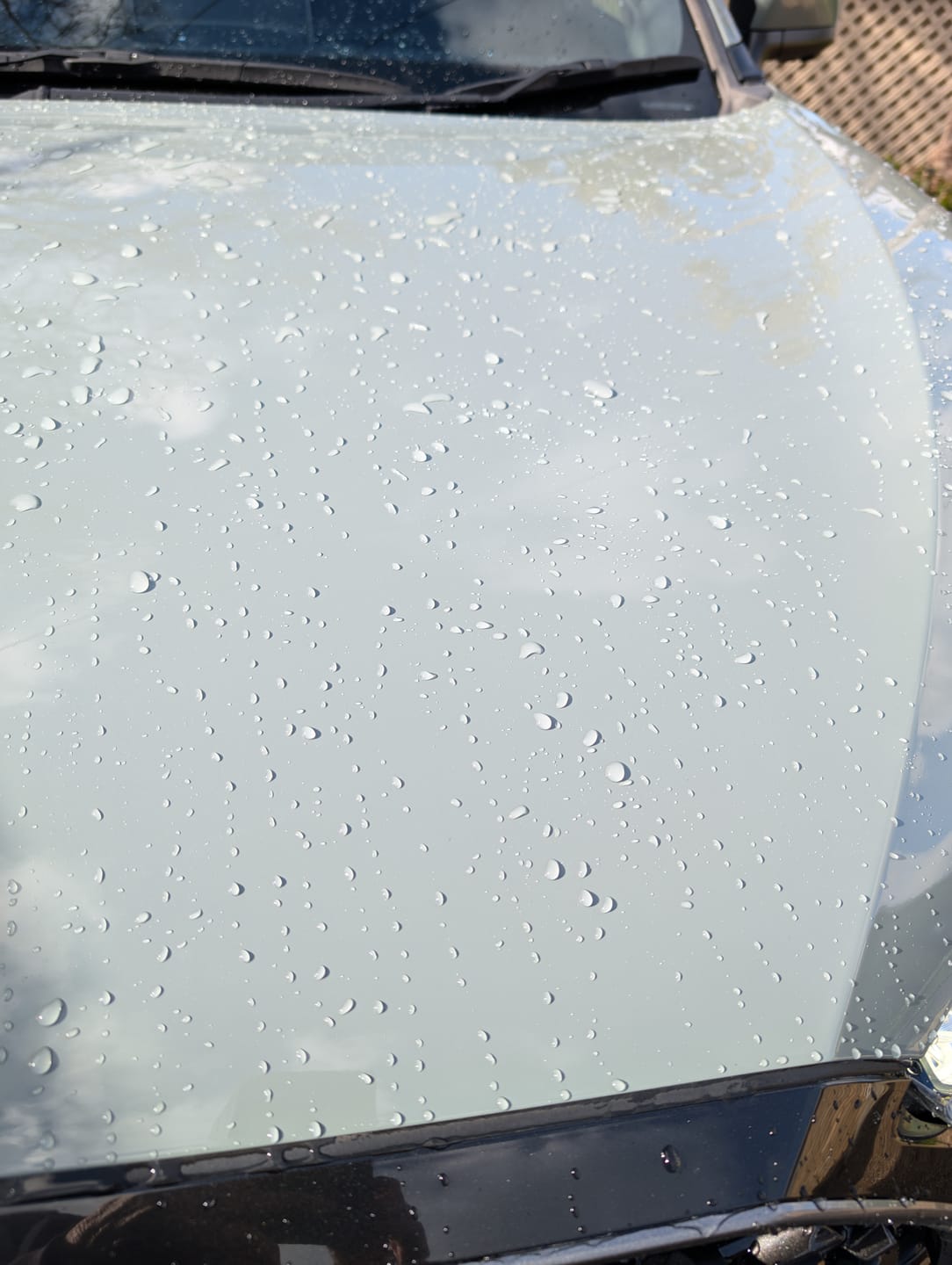 Customer photo review of Envoke Ceramic Quick Detailer