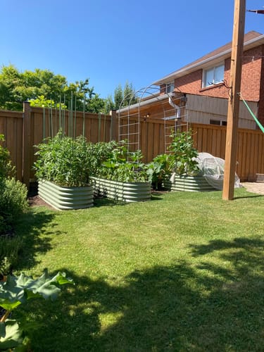 Customer photo review of Arch Garden Trellis