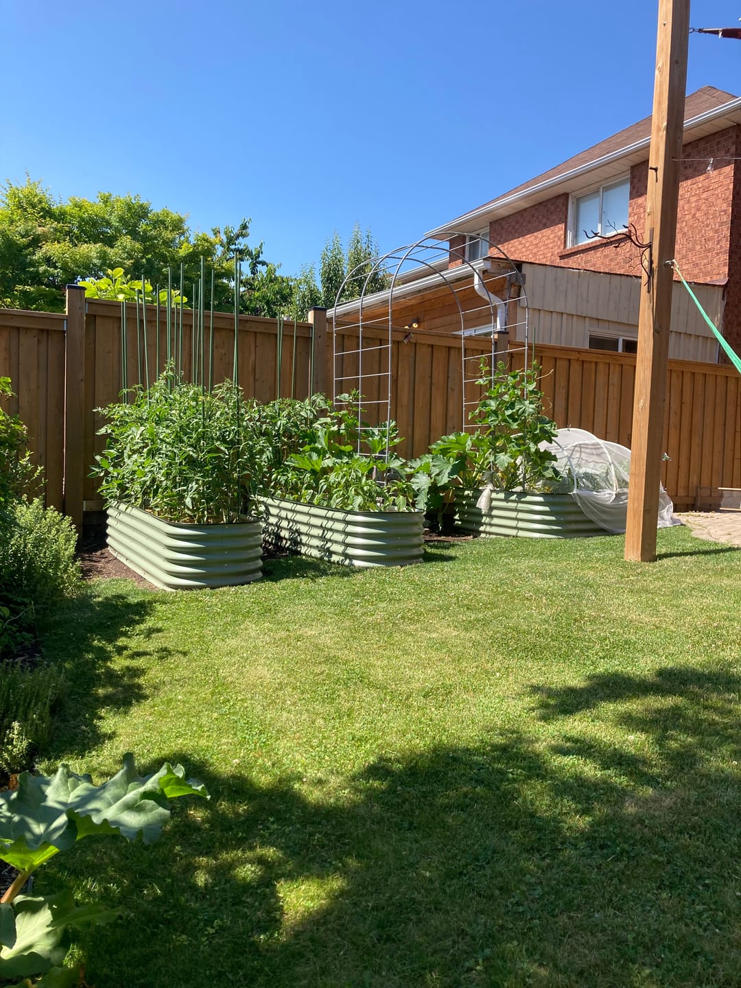 Customer photo review of Arch Garden Trellis