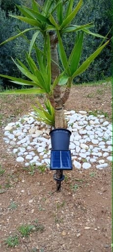 Customer photo review of 9 LED Solar Spot Lights