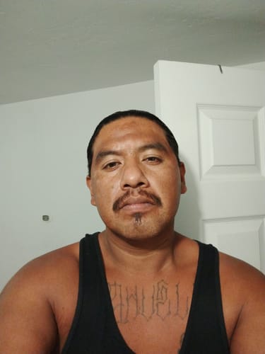 Customer photo review of Purple Haze THC-A Flower (sativa)