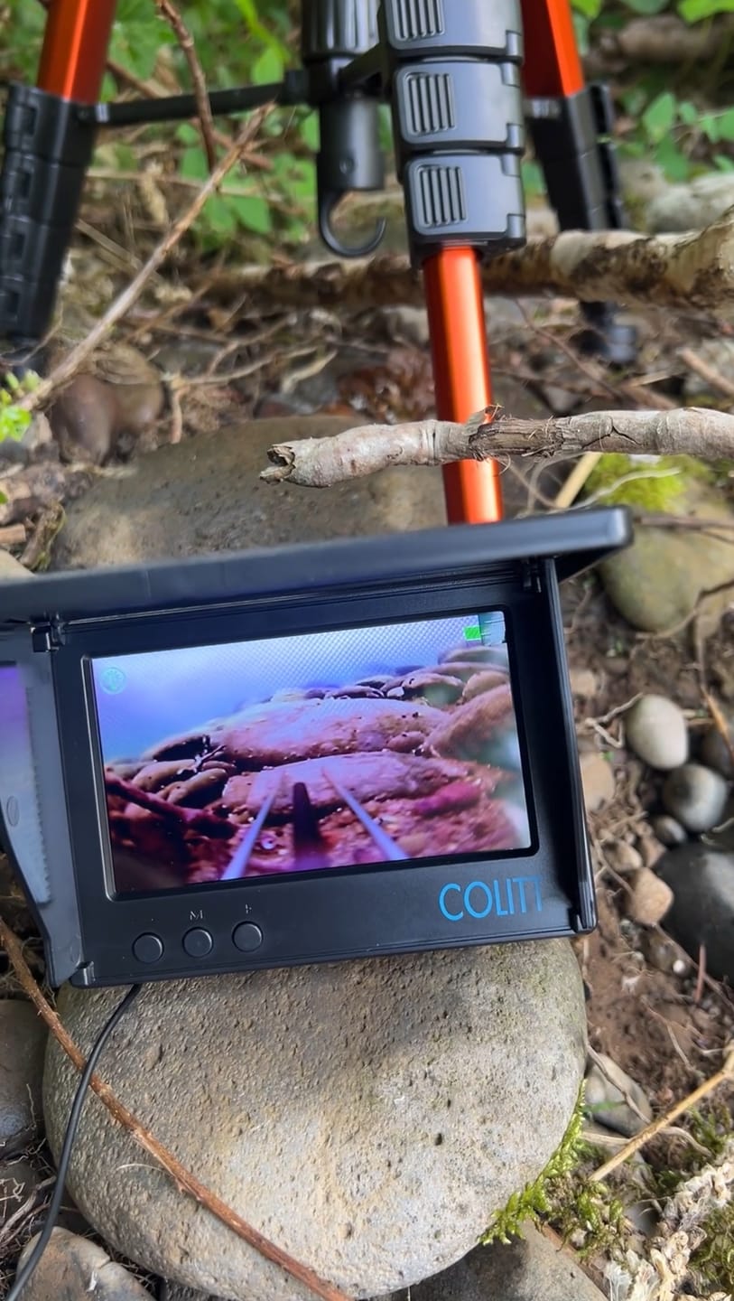 Customer photo review of Colitt - Underwater Fishing Camera