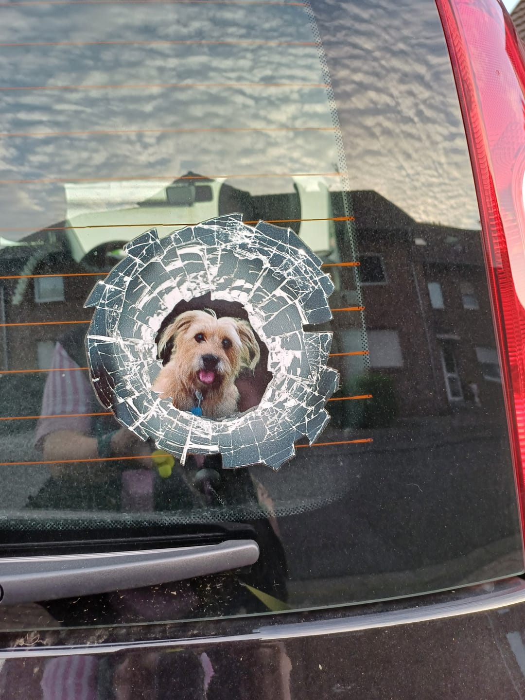 Customer photo review of Spähendes Foto Glas - Individueller Autoaufkleber