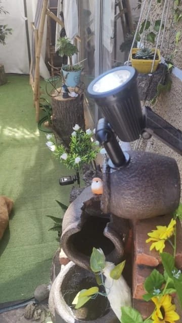 Customer photo review of 9 LED Solar Spot Lights