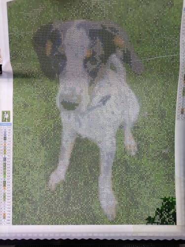 Customer photo review of Custom Diamond Painting