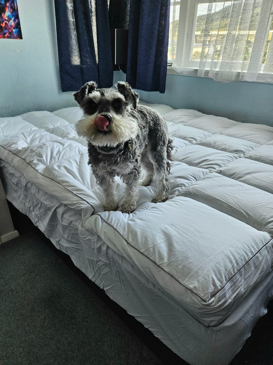 Customer photo review of Muscle Mat Luxury Mattress Topper