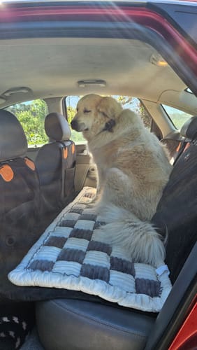 Customer photo review of RuffRover 2.0™ - Hard Bottom Back Seat Extender + (FREE Dog Bed)