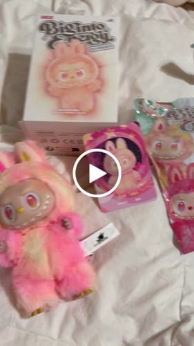 Customer video review of Pop Mart The Monsters Big Into Energy Series Vinyl Plush Pendant Blind Box
