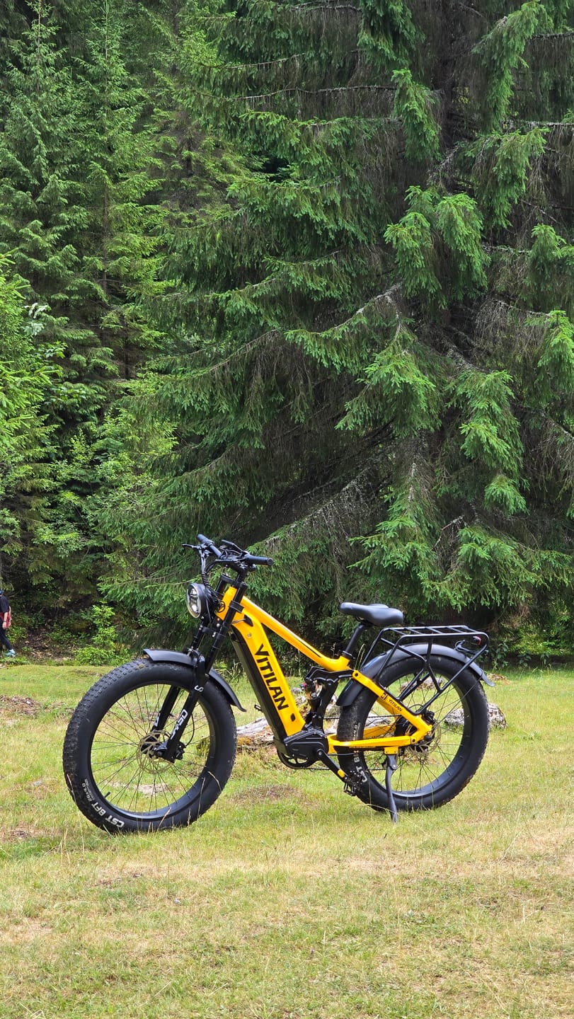 Customer photo review of T7 Full Suspension Mountain E-bike