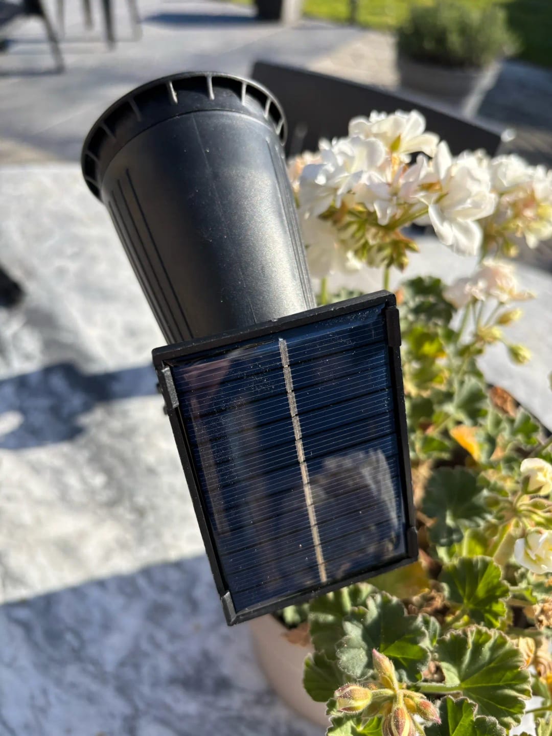 Customer photo review of 9 LED Solar Spot Lights