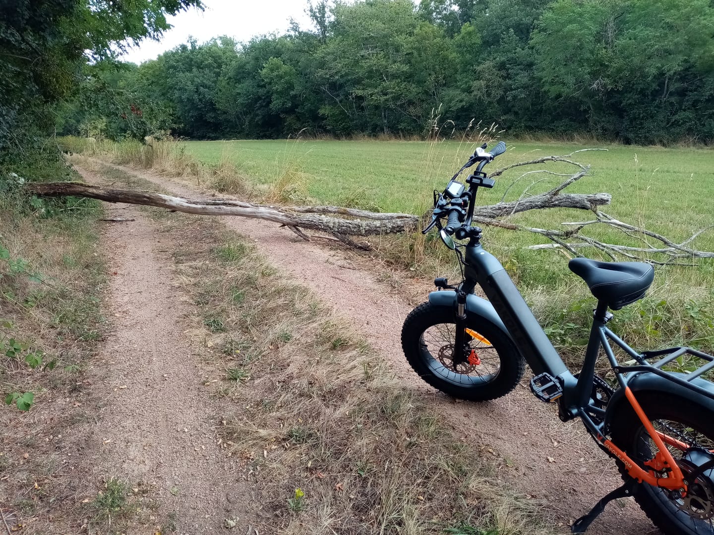 Customer photo review of Vakole SG20 250W 20" Electric Fat Bike 691Wh Commuter E-bike 48V 14.4Ah Battery