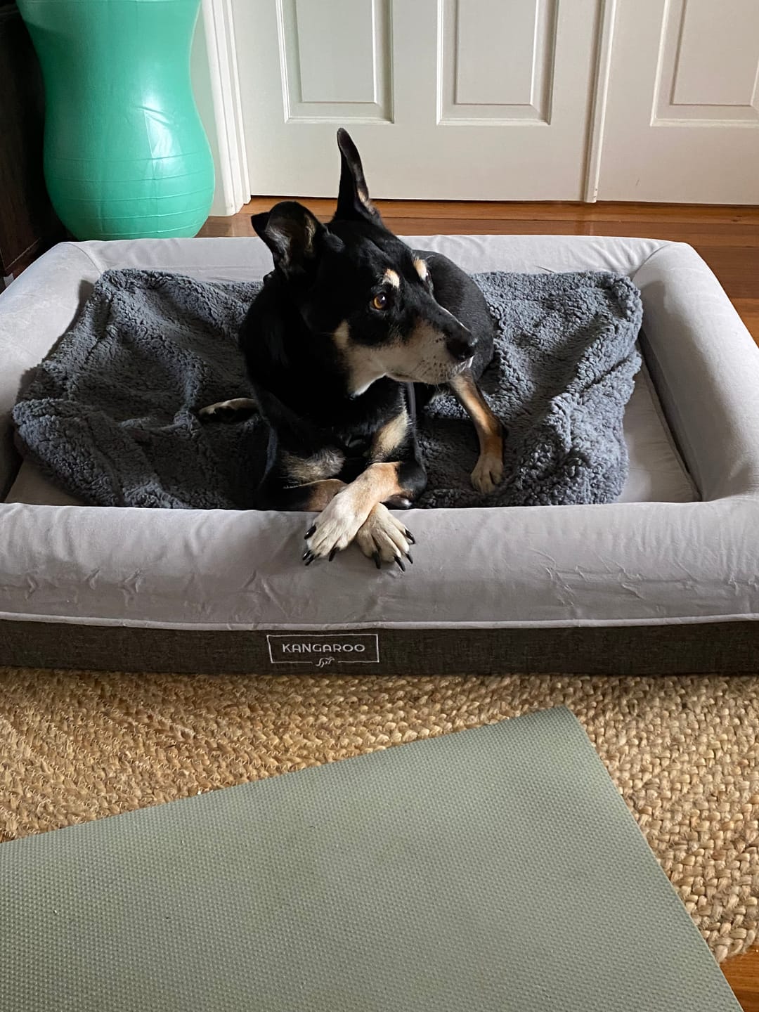 Customer photo review of Kangaroo Bed - Large